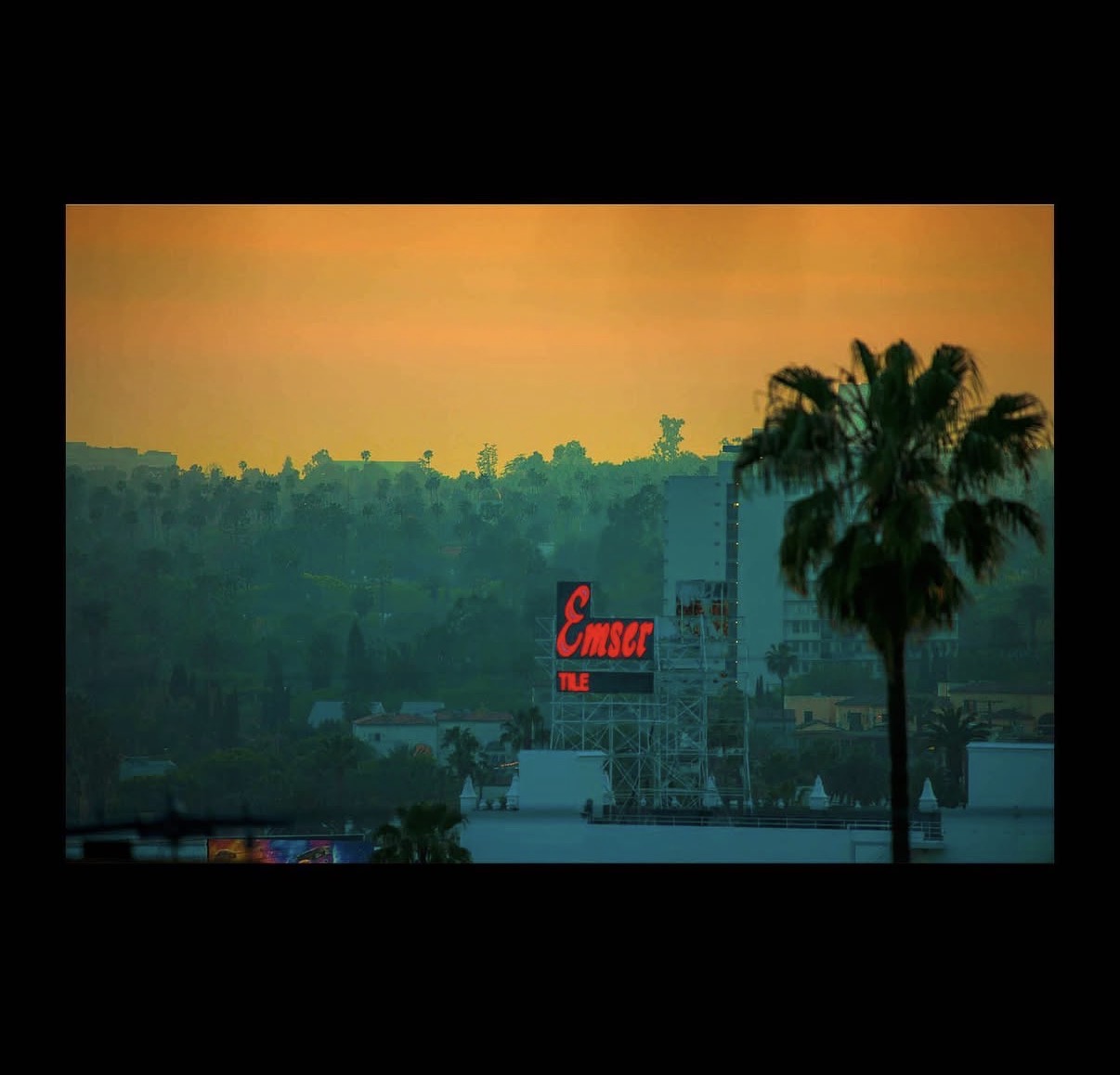 View From My Window